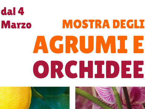 mostra agrumi orchidee