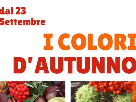 garden festival d'autunno