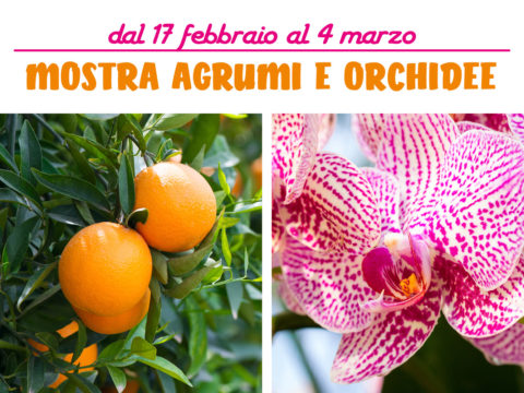 Mostra Agrumi Orchidee